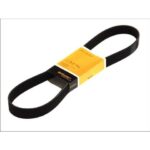 8PK1688 ΙΜΑΜΤΑΣ CONTINETAL