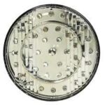DASTERI ΦΑΝΟΣ ΛΕΥΚΟ ΟΠΙΣΘΕΝ LED DSL-24/24