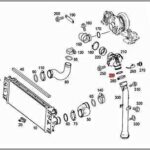 ΛΑΣΤΙΧΟ ΚΟΛΑΡΟΥ INTERCOOLER M/S 0009972205