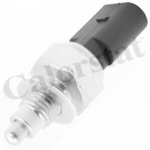 ΒΑΛΒΙΔΑ ΟΠΙΣΘΕΝ RS5563 VW Group