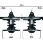 ΘΕΡΜΟΣΤΑΤΗΣ ΔΙΠΛΟΣ SCANIA TX32/1D (75-80)